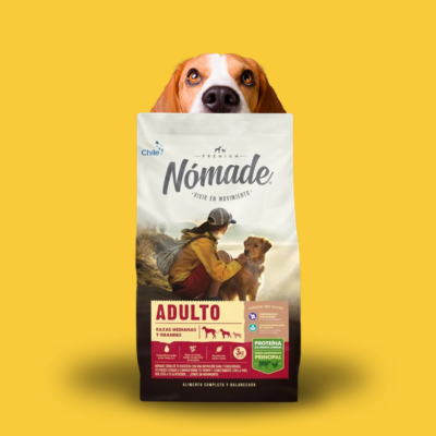 Alimentos